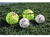 Plans for 2020 Baseball and Softball